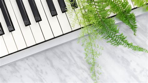 Does Classical Music Help Plants Grow? A Musical Symphony for the Garden